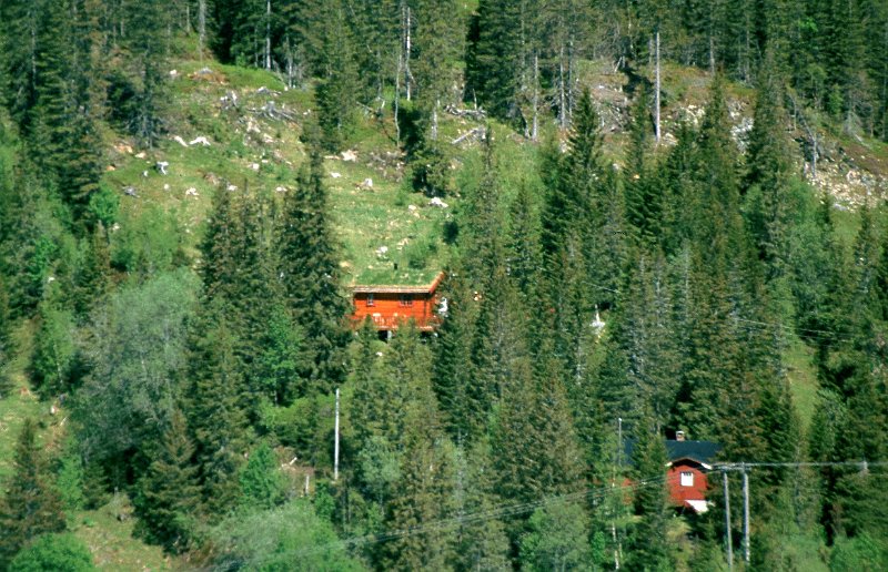 279_14.jpg - Elgbakken sett fra Nonshaugkjølen