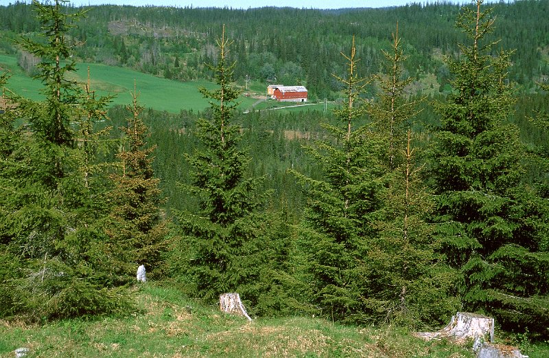 279_16.jpg - Inervenna sett fra Nonshaugkjølen