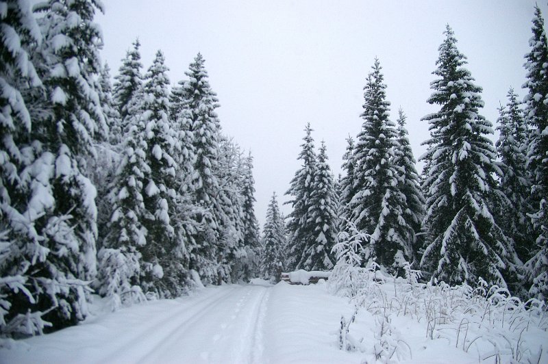 Imgp5998.jpg - Litldammen