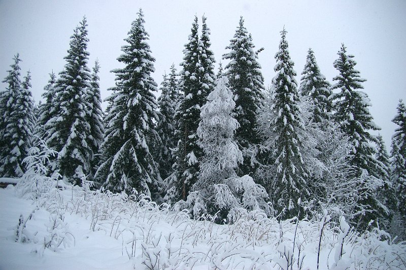 Imgp5999.jpg - Litldammen