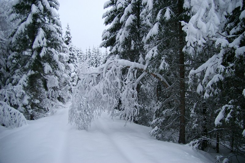 Imgp6000.jpg - Litldammen