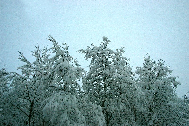 Imgp6008.jpg - Litldammen