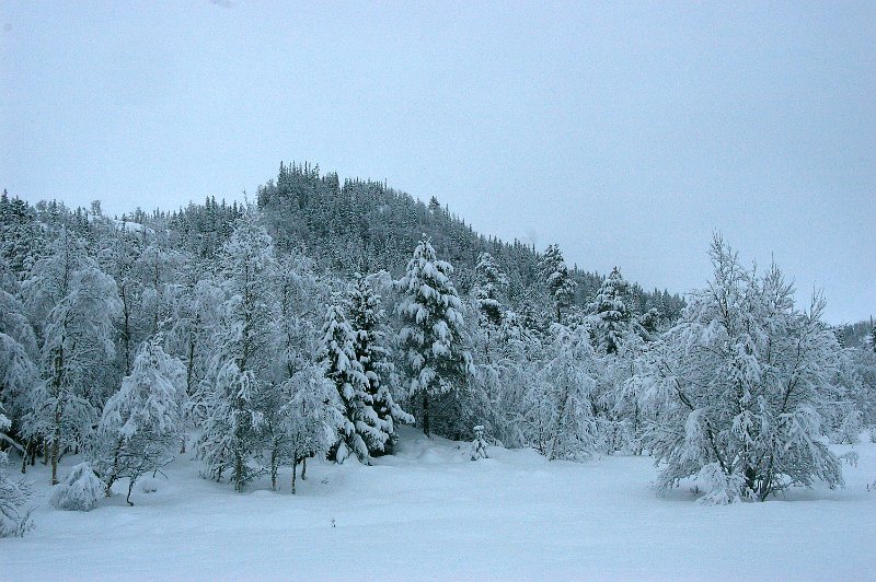 Imgp6010.jpg - Litldammen