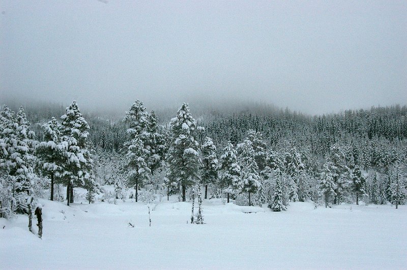Imgp6013.jpg - Indre Damtjønna