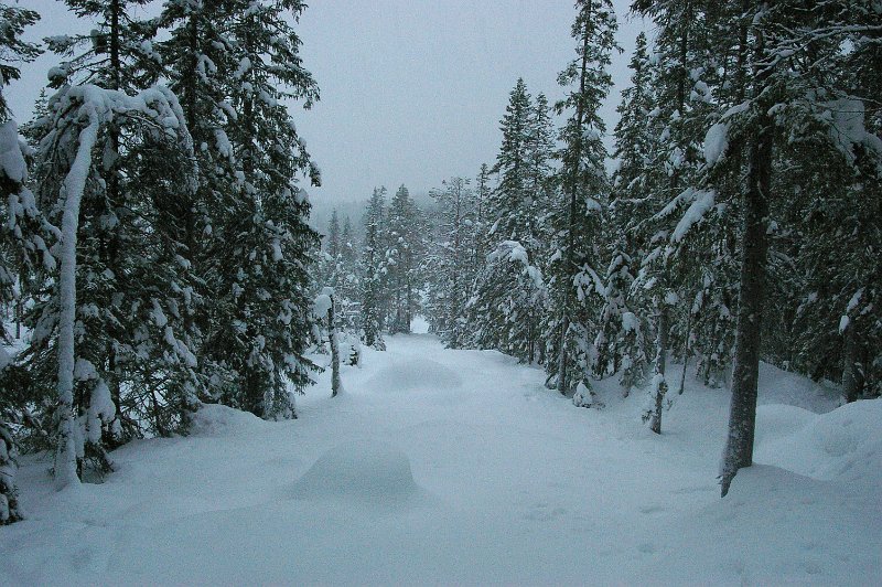 Imgp6049.jpg - Stakkjølen