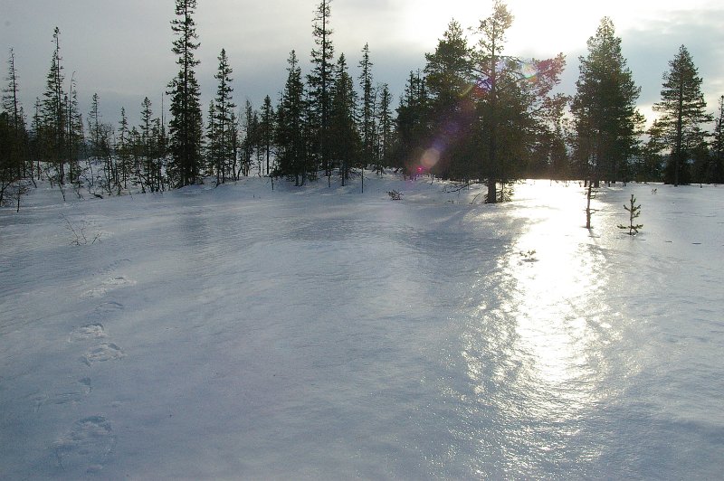 Imgp6058.jpg - Glasert snø på Kattjønnmyra