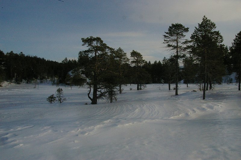 Imgp6063.jpg - Kattjønnmyra