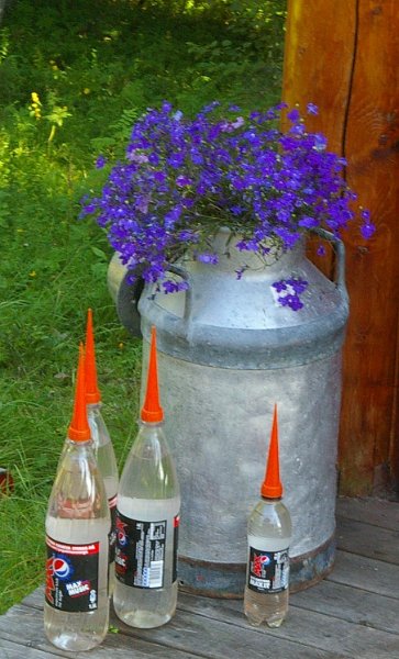 Imgp6275.jpg - Flasker utrustet med tut for automatisk vanning i blomsterpotter