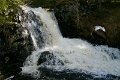 Imgp6173