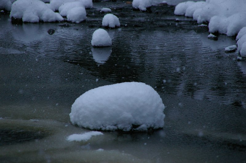 Imgp6393.jpg