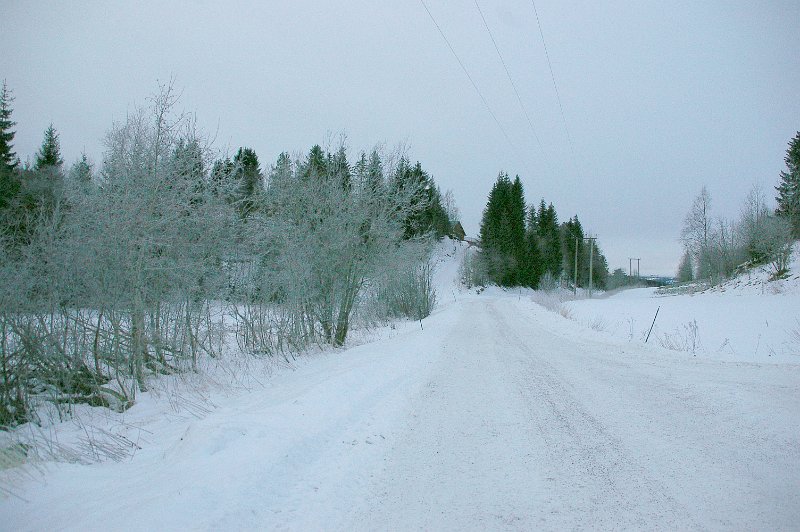 Imgp6425.jpg