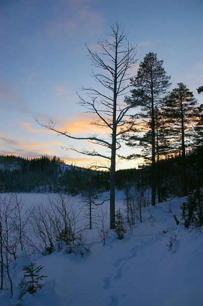 Imgp6458.jpg