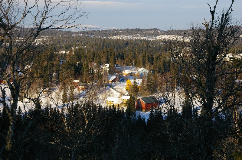 Imgp6480.jpg