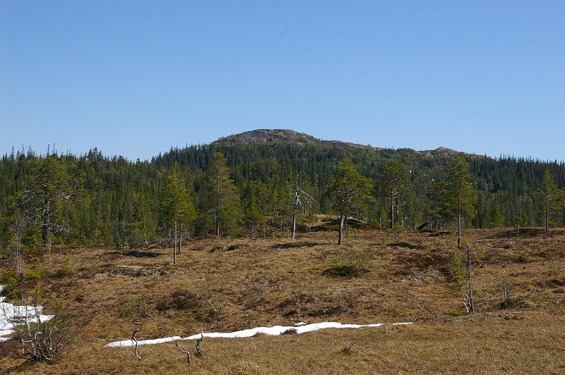 Imgp6593.jpg