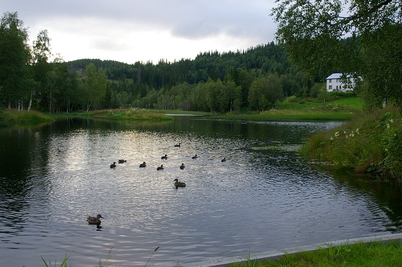 Imgp6671.jpg