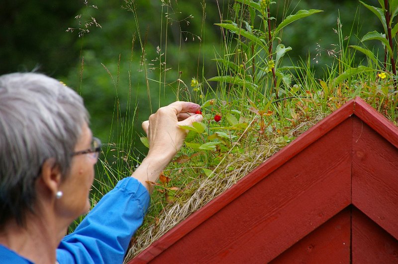 Imgp6695.jpg