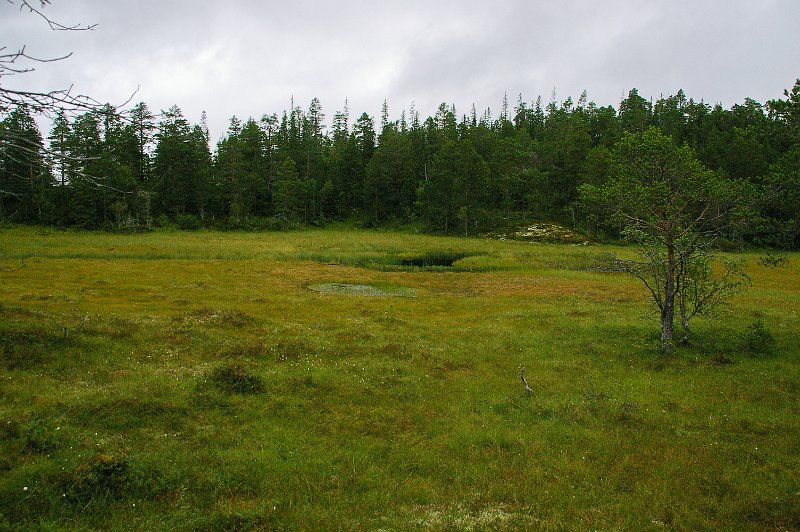 Imgp6710.jpg
