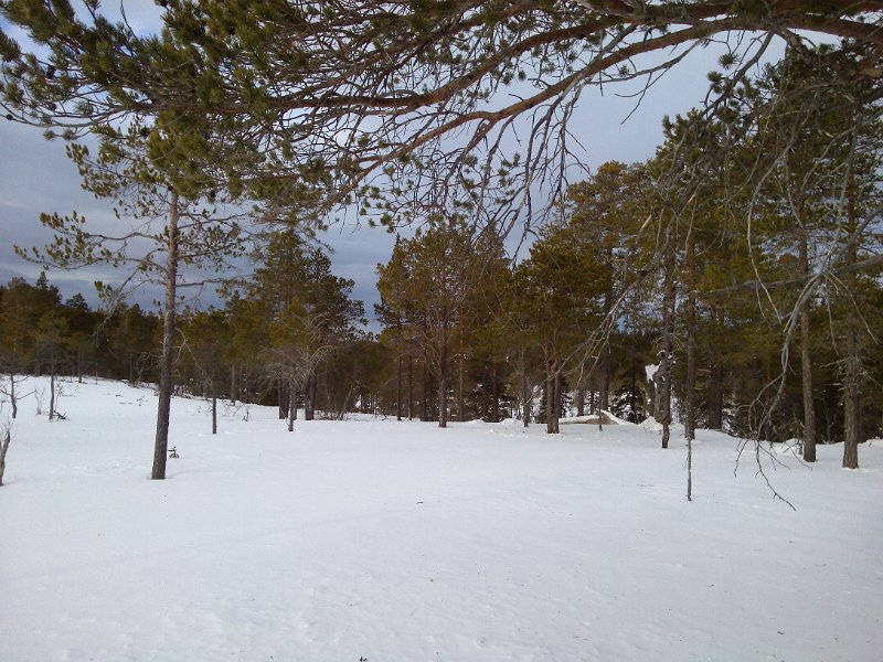 CAM00015.jpg
