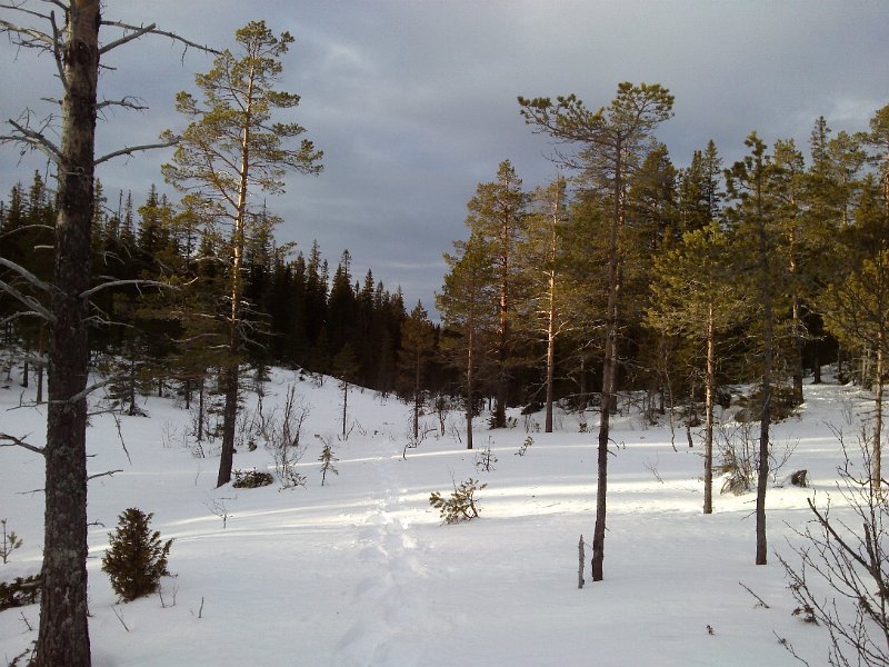 CAM00019.jpg