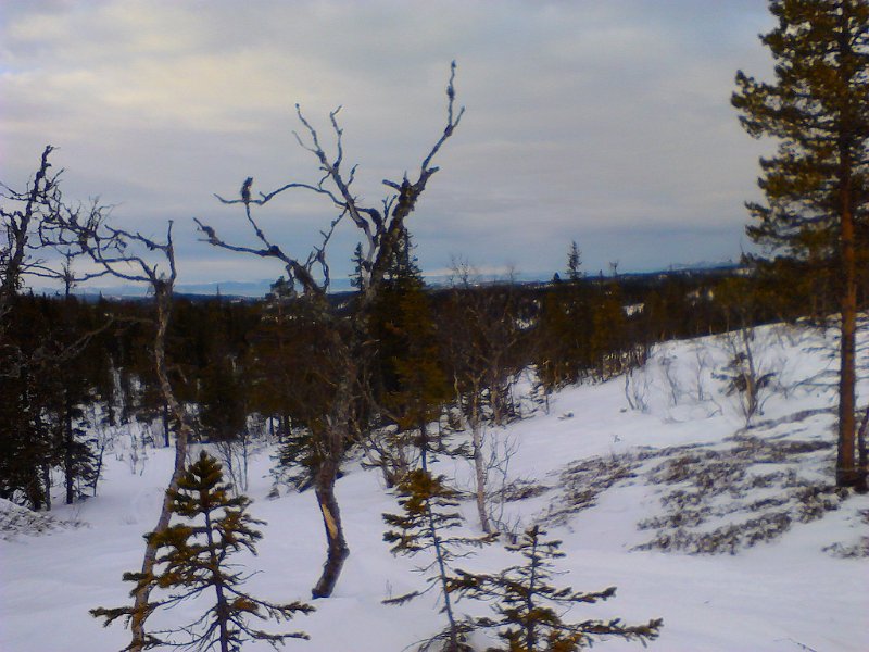 IMG_20130216_150521.jpg