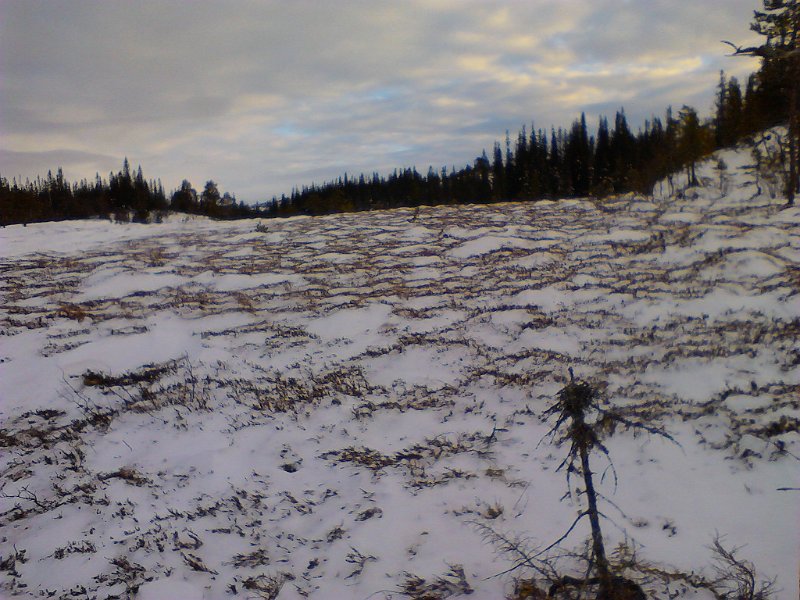 IMG_20130216_150627.jpg
