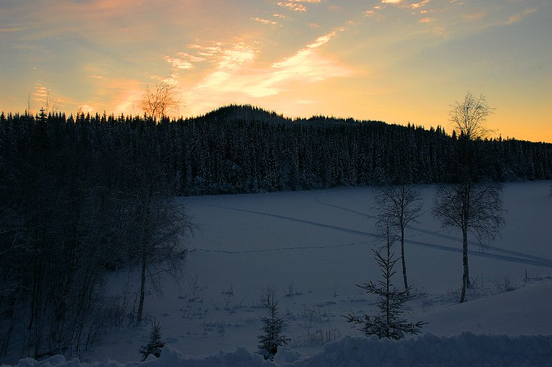 Imgp7041.jpg
