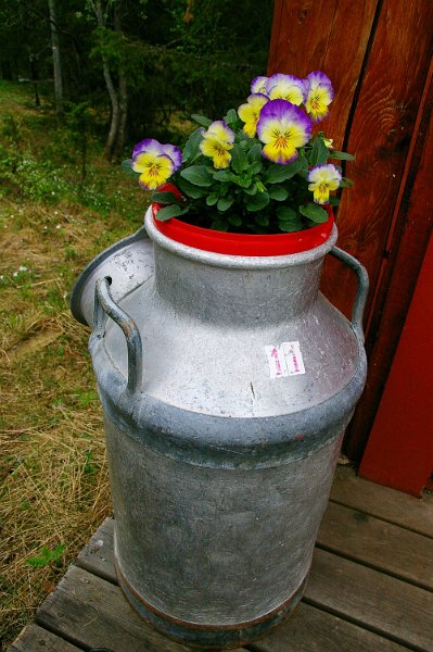 Imgp7289.jpg