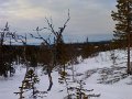 IMG_20130216_150521