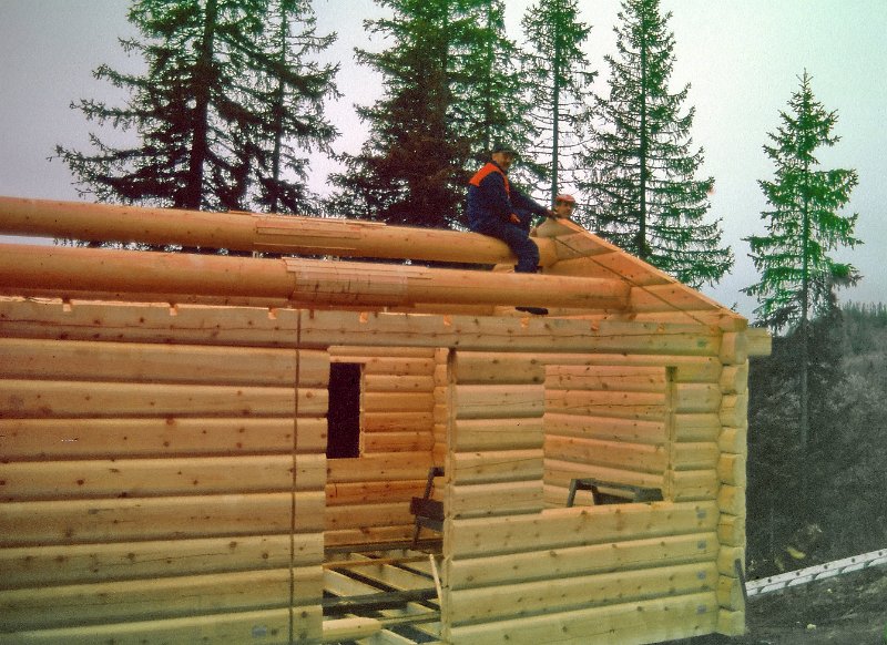 276_19.jpg - Merk "plastring av åsene på midten, - for å beskytte mot stygge spor etter kloa.